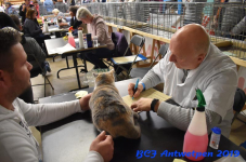 Antwerpen 2019DSC 0197
