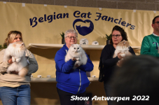 Antwerp 2022292
