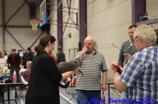 turnhout 2019-0455