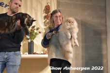 Antwerp 2022373