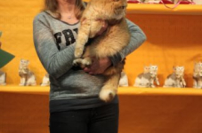 turnhout20150252