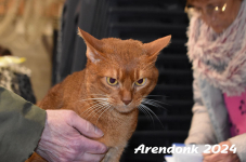 Arendonk 2024 038