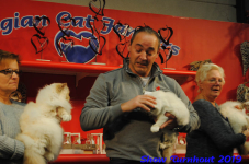 turnhout 2019-0129