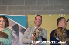 Schow Antwerpen 2023 406