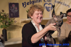Antwerpen 2019DSC 0462