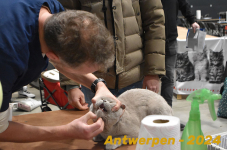Antwerpen 042