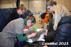 Laakdal 2023 072
