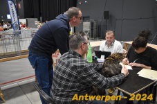 Antwerpen 203