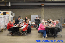 Antwerpen 2019DSC 0254