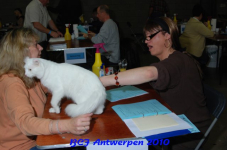 bcf antw 2010 077