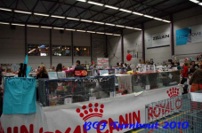 BCF turn 044
