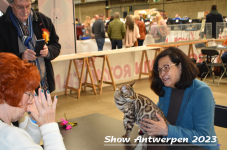 Schow Antwerpen 2023 328