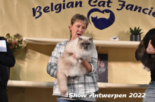 Antwerp 2022374