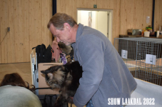 Show Laakdal 2022 0037