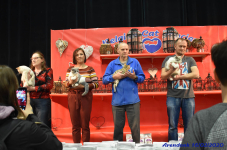 Katttenshow Arendonk 2020 DSC 0558