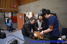 DSC 0043