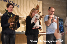 Antwerp 2022336