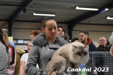 Laakdal 2023 339