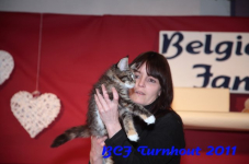 bcf antw 2010 265