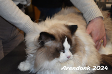 Arendonk 2024 153