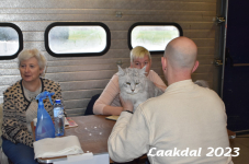 Laakdal 2023 176