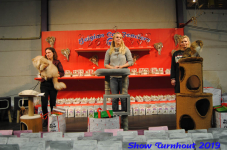turnhout 2019-0110