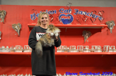 turnhout 2019-0427