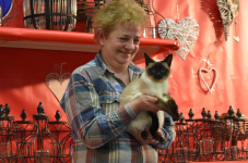 Katttenshow Arendonk 2020 DSC 0295
