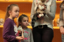 turnhout20150153