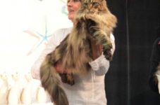 arendonk 2012 263