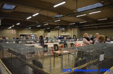 Antwerpen 2019DSC 0081