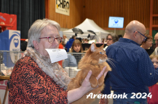 Arendonk 2024 499