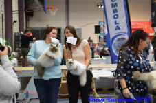 turnhout 2019-0439