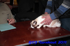 bcf antw 2010 173