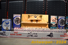Antwerpen 062