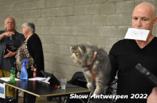 Antwerp 2022243