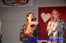 bcf antw 2010 225