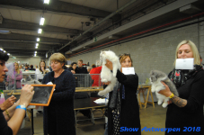 antwerp 2018 0314