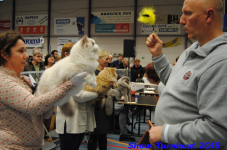 turnhout 2019-0142