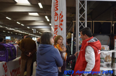 Antwerpen 2019DSC 0178