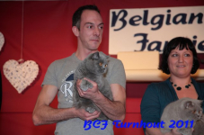 bcf antw 2010 248