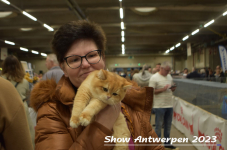 Schow Antwerpen 2023 332
