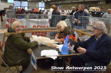 Schow Antwerpen 2023 173