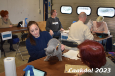 Laakdal 2023 202
