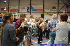 turnhout 2019-0144