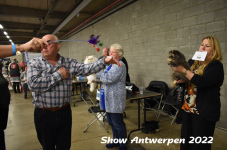 Antwerp 2022239