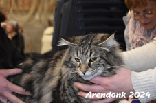 Arendonk 2024 092