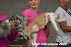 Antwerp 2022160