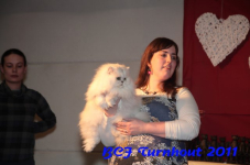 bcf antw 2010 183