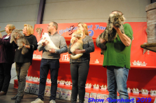 turnhout 2019-0228